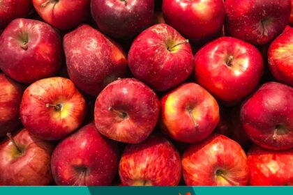 How important is apple for good health?