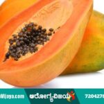 Papaya fruit is best for curing all diseases;