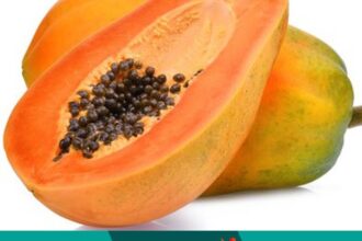 Papaya fruit is best for curing all diseases;