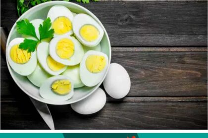 Do you know what are the benefits of chicken eggs?