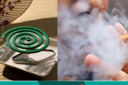 Mosquito coil smoke is as dangerous as 100 cigarettes