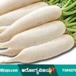 How useful is radish for health