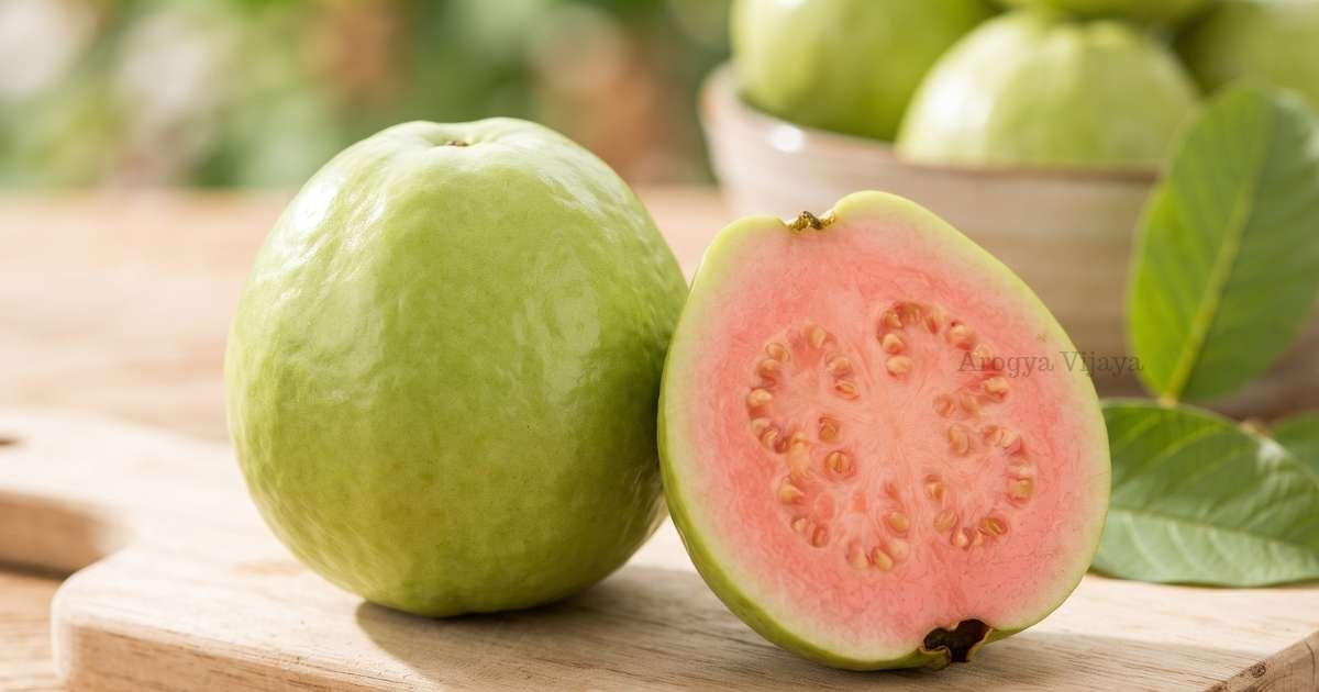 Fresh guava fruit benefits in Kannada - healthy diet and daily health tips