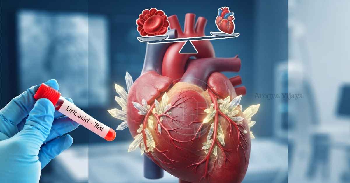 ರಕ್ತದಲ್ಲಿ ಯೂರಿಕ್ ಆ್ಯಸಿಡ್ ಹೆಚ್ಚಾಗುವುದರಿಂದ ಹೃದಯದ ಆರೋಗ್ಯದ ಮೇಲೆ ಉಂಟಾಗುವ ಪರಿಣಾಮಗಳು.